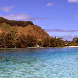 Meet your Posher, Trung